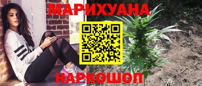 винт Донецк