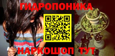 винт Донецк
