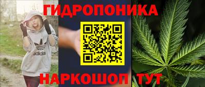 винт Донецк
