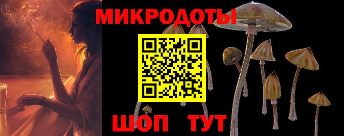 Псилоцибиновые грибы Cubensis Моздок